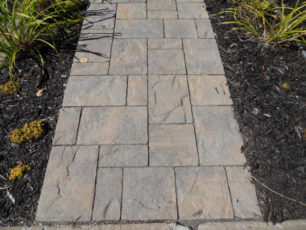 Stamped Concrete Staining in Roseville