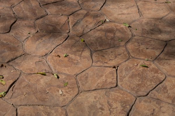 Concrete Texturing in Roseville
